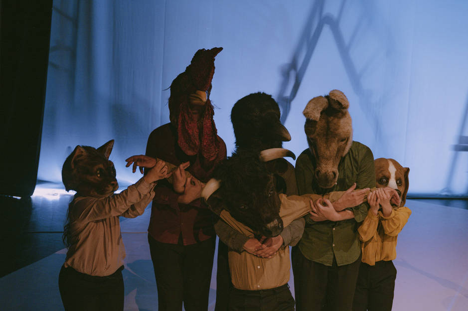 Créditos: Rúben Caeiro, Glimpse Team